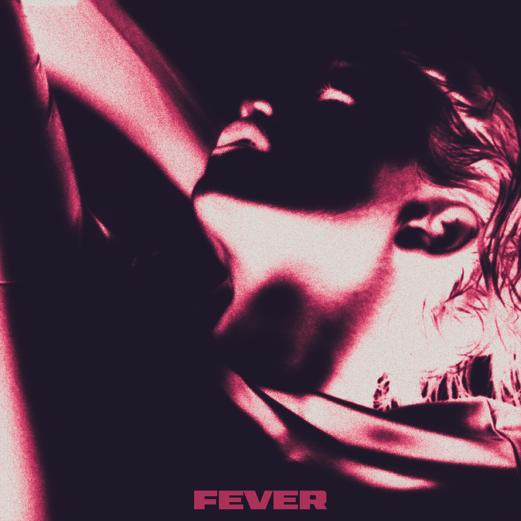 fever2.jpg
